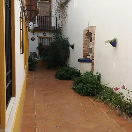 Nuevo Y Centrico, Santa Marina *