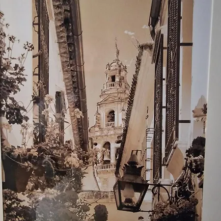 Appartement Nuevo Y Centrico, Santa Marina