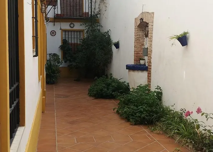 Nuevo Y Centrico, Santa Marina *