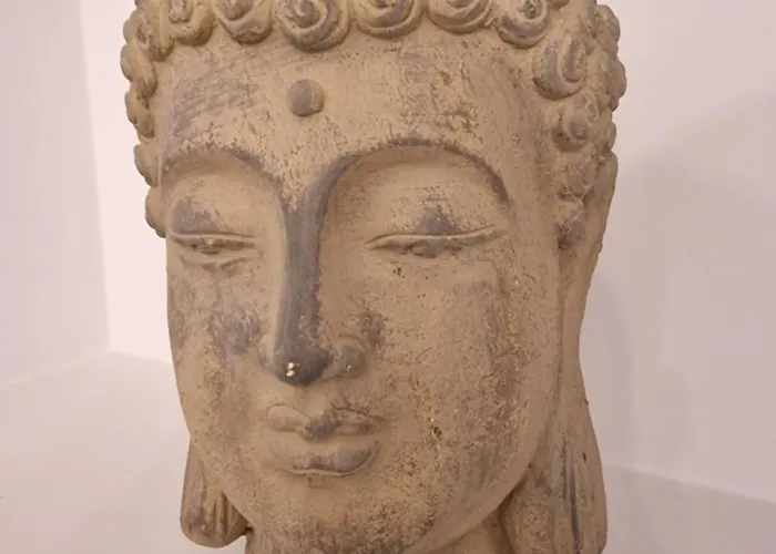 Nuevo Y Centrico, Santa Marina *