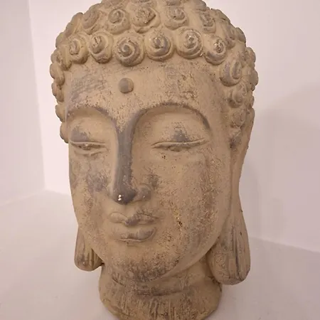 Nuevo Y Centrico, Santa Marina *